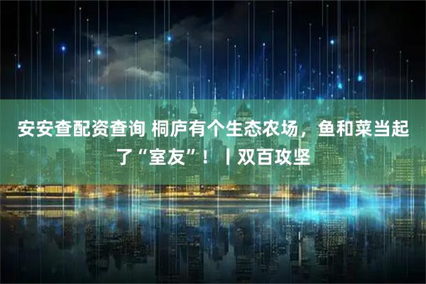 安安查配资查询 桐庐有个生态农场，鱼和菜当起了“室友”！丨双百攻坚