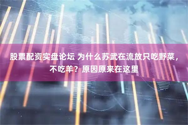 股票配资实盘论坛 为什么苏武在流放只吃野菜，不吃羊？原因原来在这里